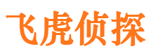 鹿泉市婚外情调查